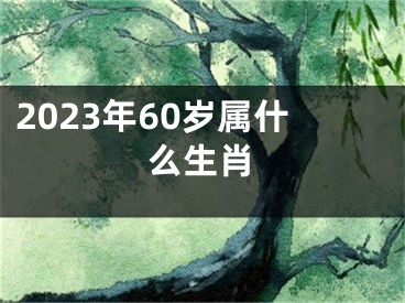 2023年60岁属什么生肖
