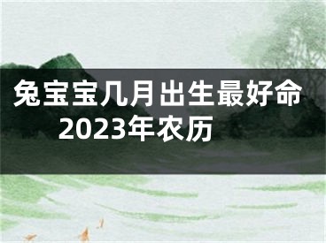 兔宝宝几月出生最好命2023年农历