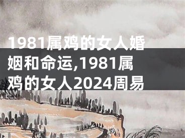 1981属鸡的女人婚姻和命运,1981属鸡的女人2024周易