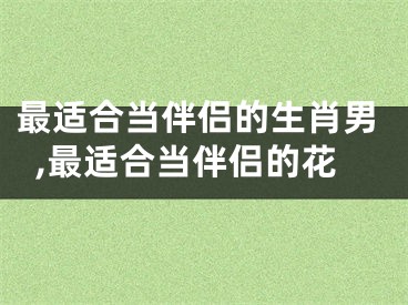 最适合当伴侣的生肖男,最适合当伴侣的花