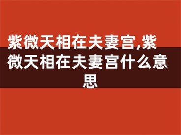 紫微天相在夫妻宫,紫微天相在夫妻宫什么意思