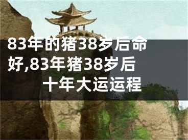 83年的猪38岁后命好,83年猪38岁后十年大运运程