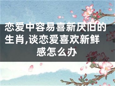 恋爱中容易喜新厌旧的生肖,谈恋爱喜欢新鲜感怎么办