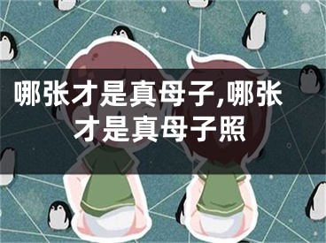 哪张才是真母子,哪张才是真母子照