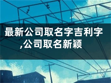 最新公司取名字吉利字,公司取名新颖