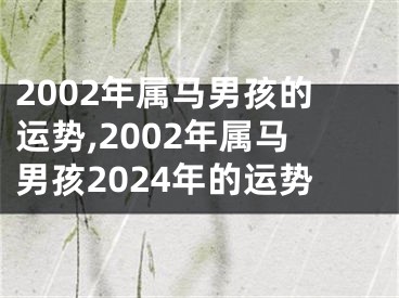 2002年属马男孩的运势,2002年属马男孩2024年的运势