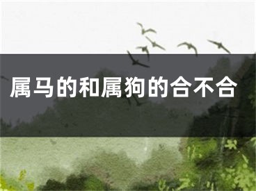 属马的和属狗的合不合