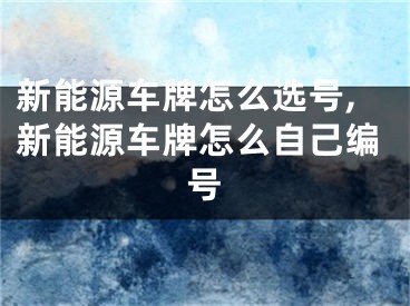 新能源车牌怎么选号,新能源车牌怎么自己编号
