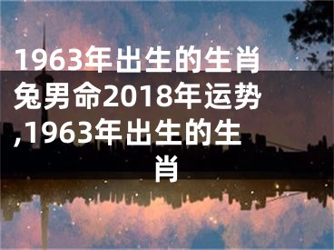 1963年出生的生肖兔男命2018年运势,1963年出生的生肖