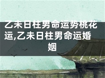 乙未日柱男命运势桃花运,乙未日柱男命运婚姻