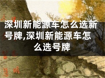 深圳新能源车怎么选新号牌,深圳新能源车怎么选号牌