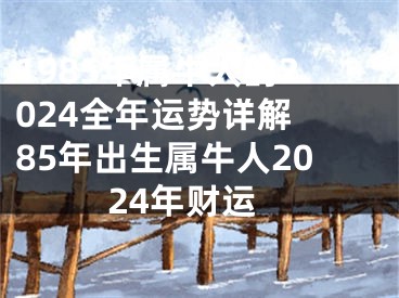 1985年属牛人的2024全年运势详解 85年出生属牛人2024年财运