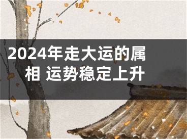 2024年走大运的属相 运势稳定上升