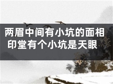 两眉中间有小坑的面相 印堂有个小坑是天眼
