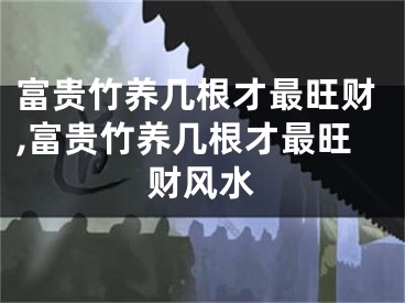 富贵竹养几根才最旺财,富贵竹养几根才最旺财风水