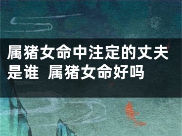 属猪女命中注定的丈夫是谁  属猪女命好吗