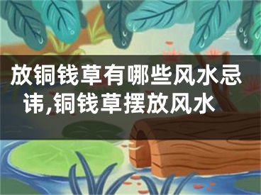 放铜钱草有哪些风水忌讳,铜钱草摆放风水