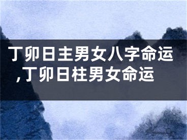 丁卯日主男女八字命运,丁卯日柱男女命运