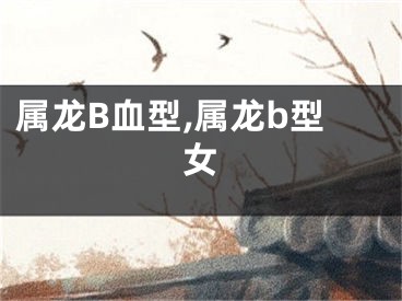 属龙B血型,属龙b型女