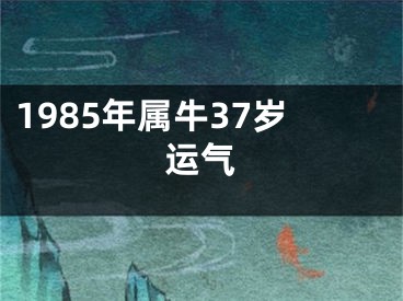 1985年属牛37岁运气