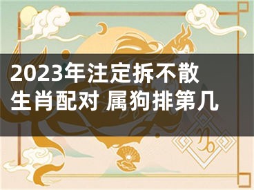 2023年注定拆不散生肖配对 属狗排第几