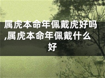 属虎本命年佩戴虎好吗,属虎本命年佩戴什么好
