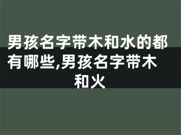 男孩名字带木和水的都有哪些,男孩名字带木和火