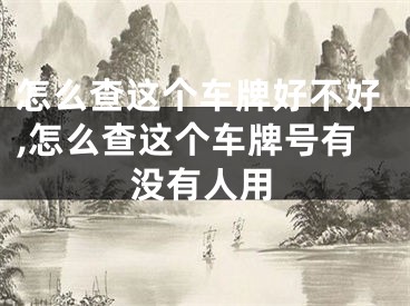 怎么查这个车牌好不好,怎么查这个车牌号有没有人用