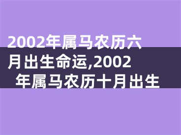 2002年属马农历六月出生命运,2002年属马农历十月出生