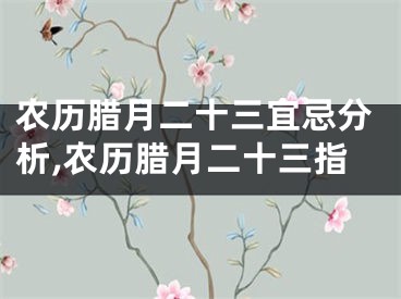 农历腊月二十三宜忌分析,农历腊月二十三指