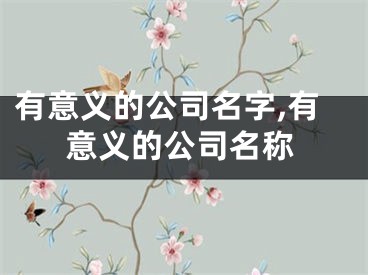 有意义的公司名字,有意义的公司名称