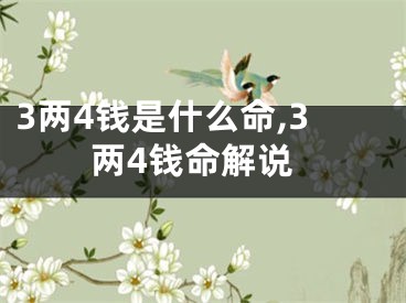3两4钱是什么命,3两4钱命解说