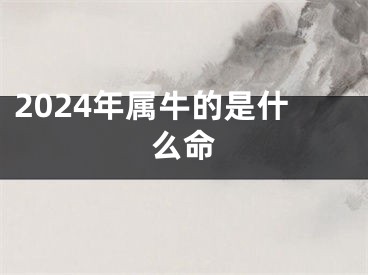 2024年属牛的是什么命