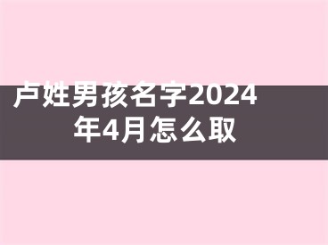 卢姓男孩名字2024年4月怎么取