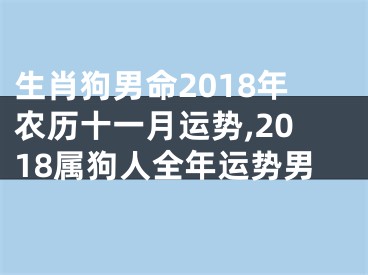 生肖狗男命2018年农历十一月运势,2018属狗人全年运势男