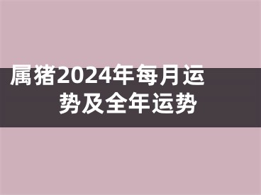 属猪2024年每月运势及全年运势