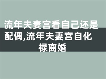 流年夫妻宫看自己还是配偶,流年夫妻宫自化禄离婚