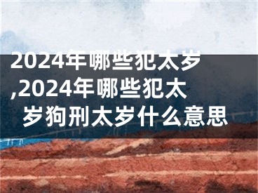 2024年哪些犯太岁,2024年哪些犯太岁狗刑太岁什么意思