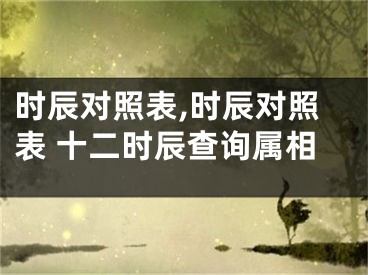 时辰对照表,时辰对照表 十二时辰查询属相