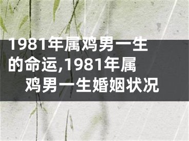 1981年属鸡男一生的命运,1981年属鸡男一生婚姻状况