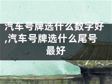 汽车号牌选什么数字好,汽车号牌选什么尾号最好