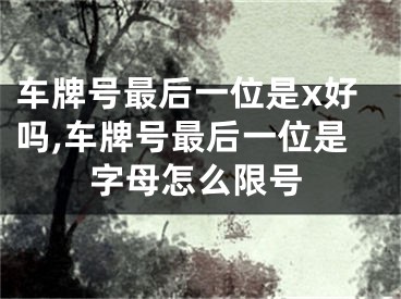 车牌号最后一位是x好吗,车牌号最后一位是字母怎么限号