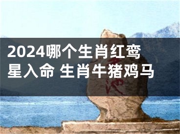 2024哪个生肖红鸾星入命 生肖牛猪鸡马