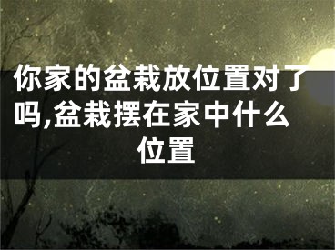 你家的盆栽放位置对了吗,盆栽摆在家中什么位置