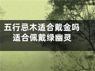 五行忌木适合戴金吗 适合佩戴绿幽灵 