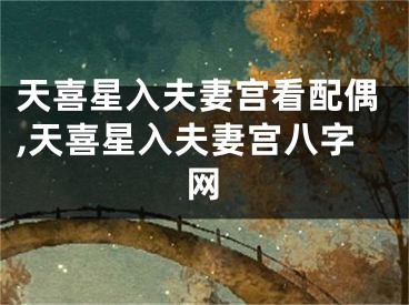 天喜星入夫妻宫看配偶,天喜星入夫妻宫八字网