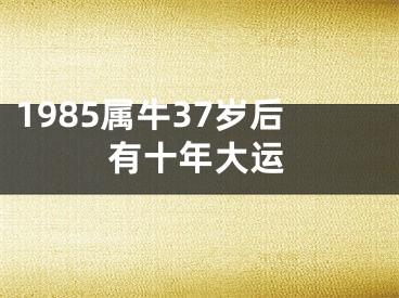 1985属牛37岁后有十年大运