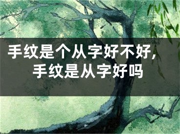 手纹是个从字好不好,手纹是从字好吗