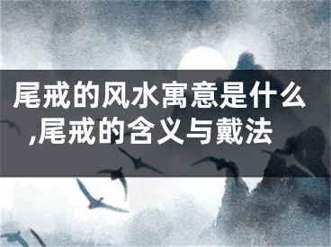 尾戒的风水寓意是什么,尾戒的含义与戴法