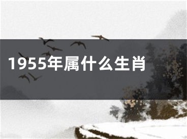 1955年属什么生肖